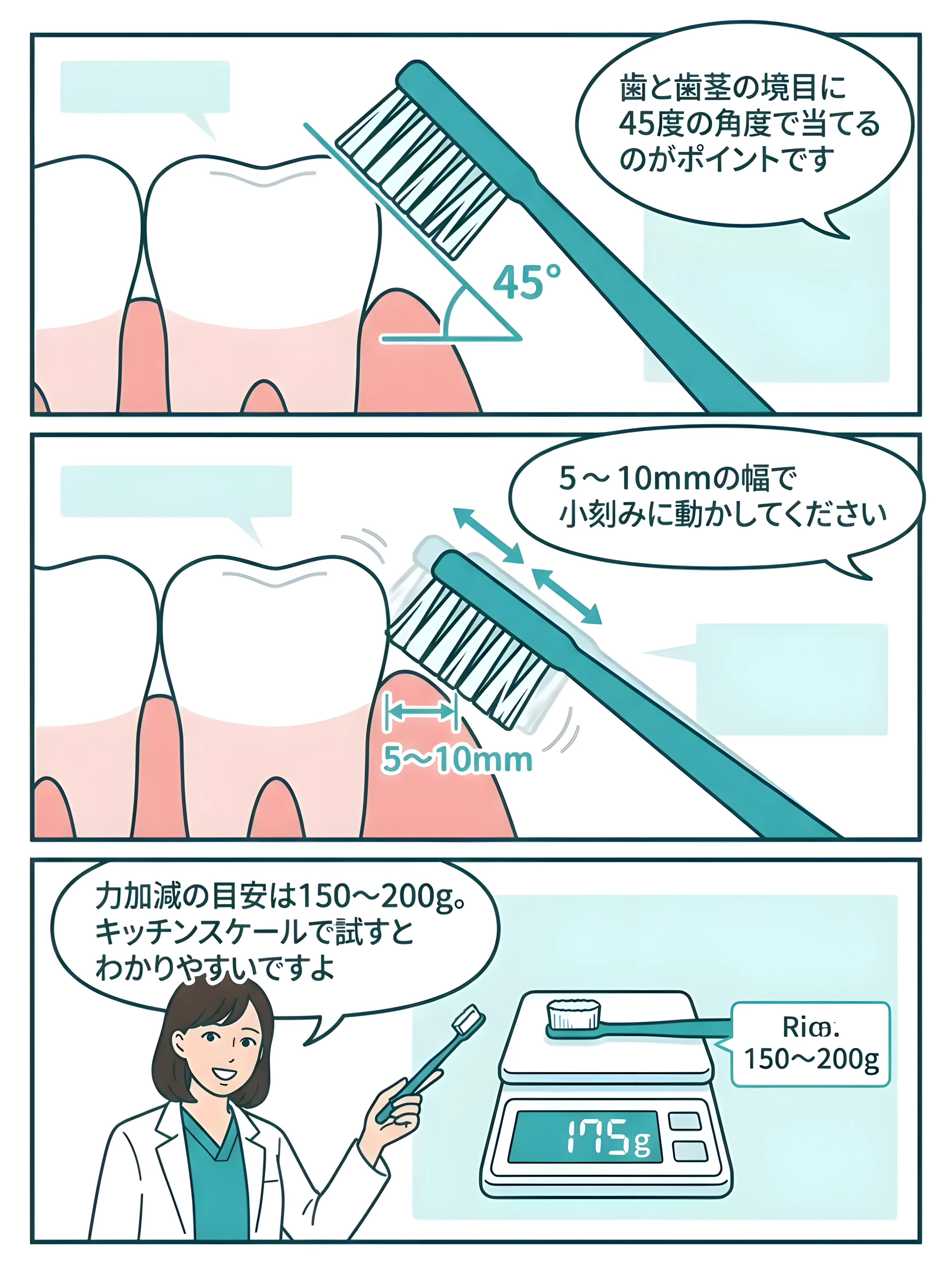 正しいブラッシング角度と動きの解説マンガ - 45度の角度と5-10mm幅の動き